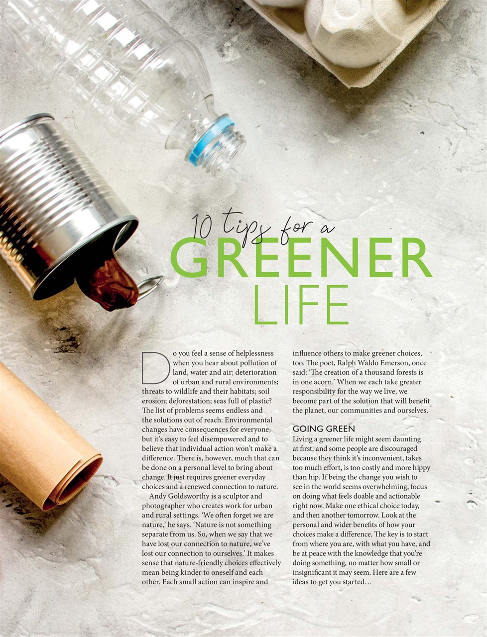 New Year New You Preview Pages