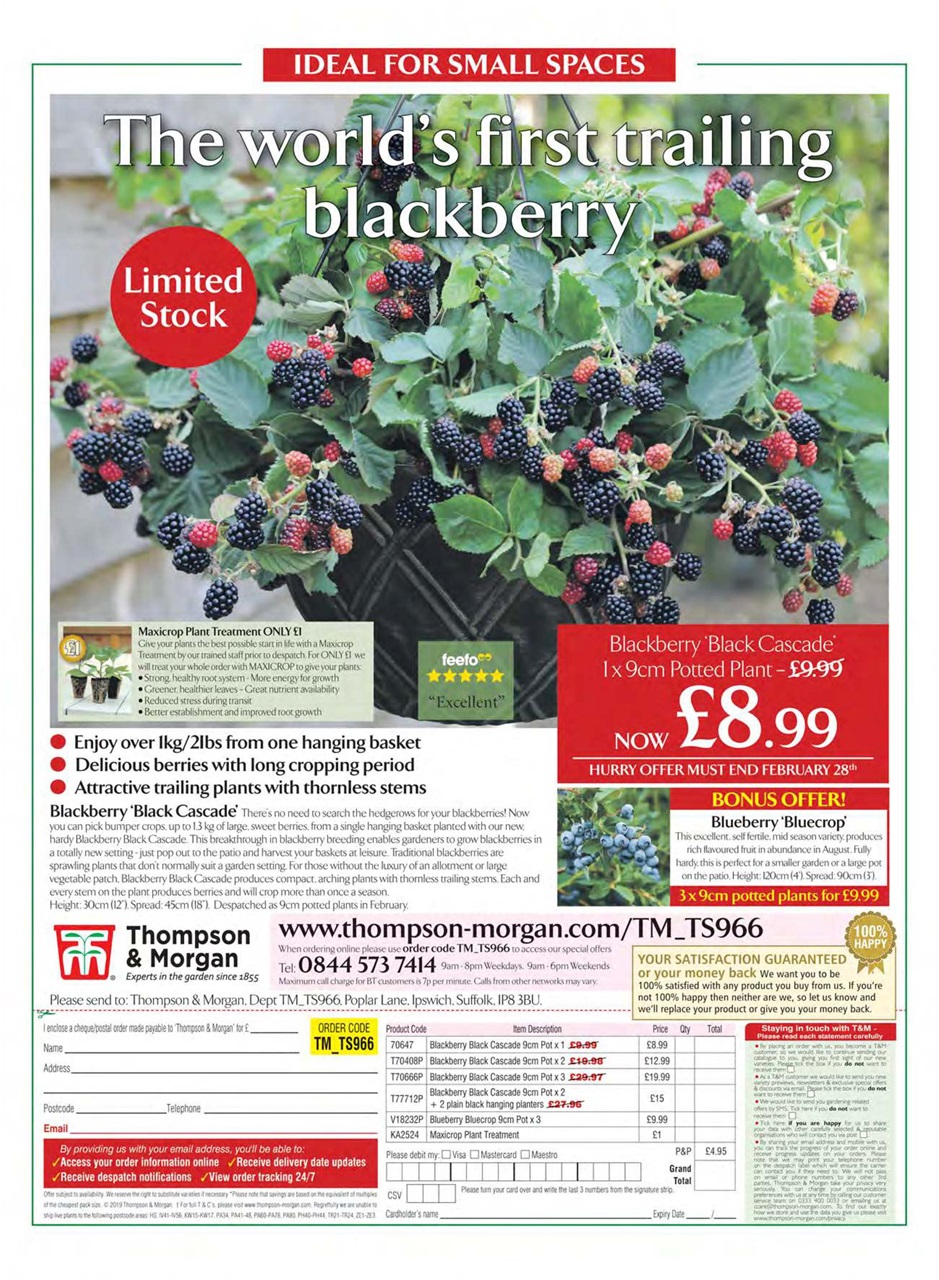 Grow Your Own Preview Pages