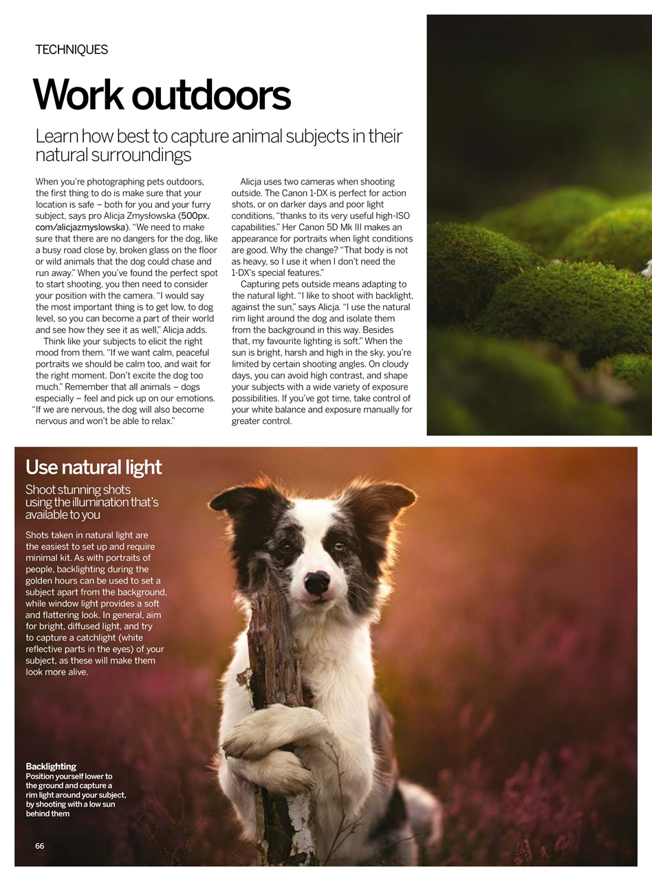 Digital Photographer Preview Pages