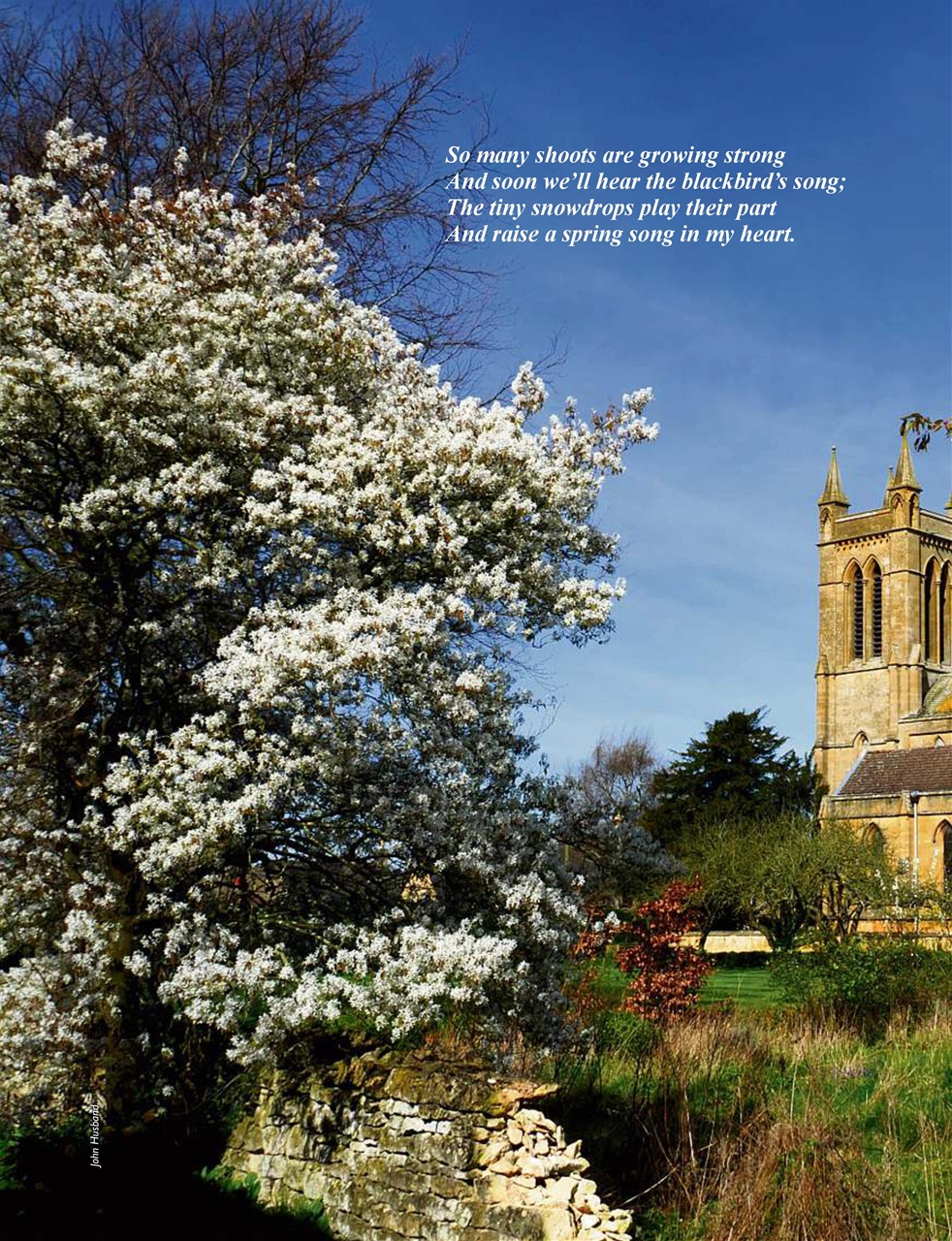 This England Preview Pages