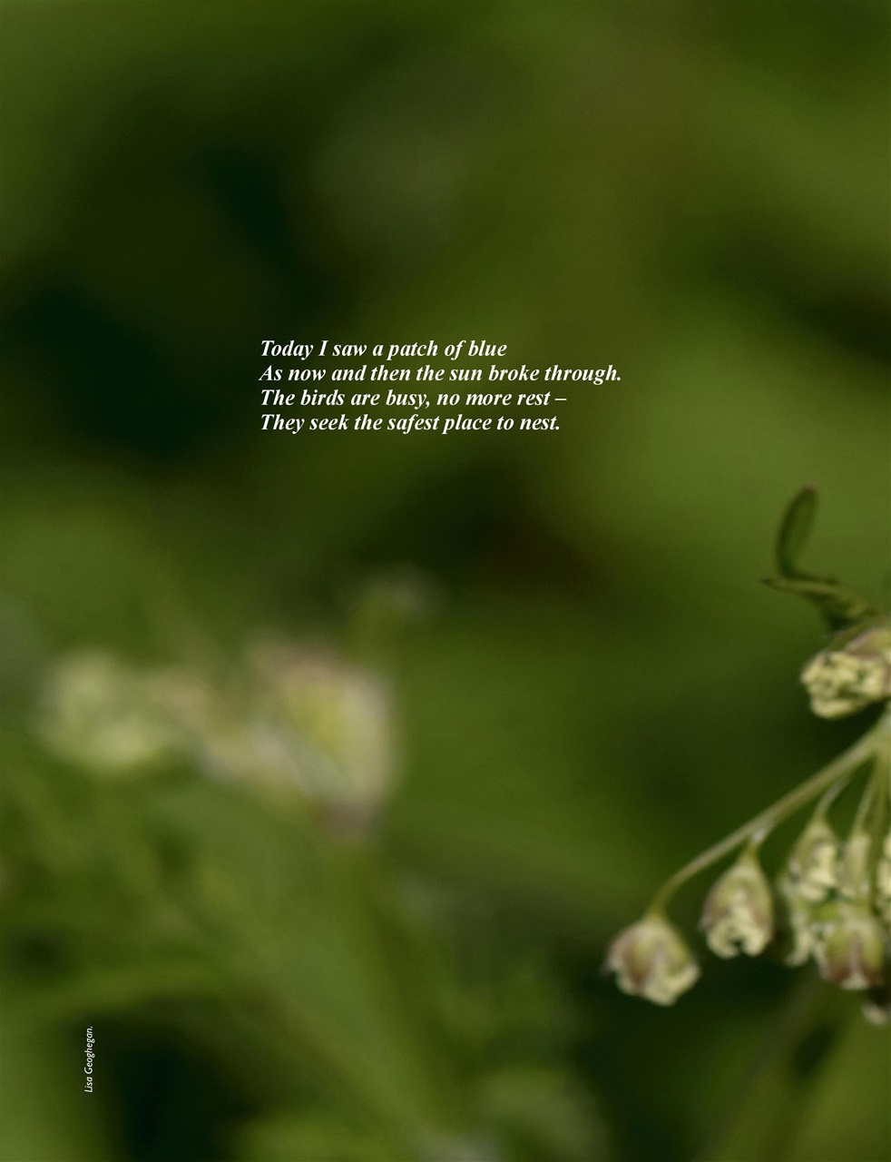 This England Preview Pages