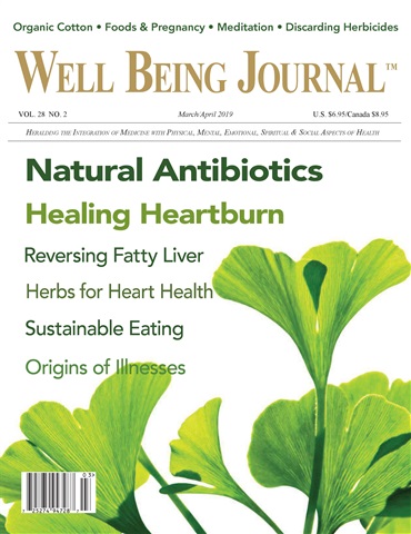 Well Being Journal issue Mar/Apr 2019