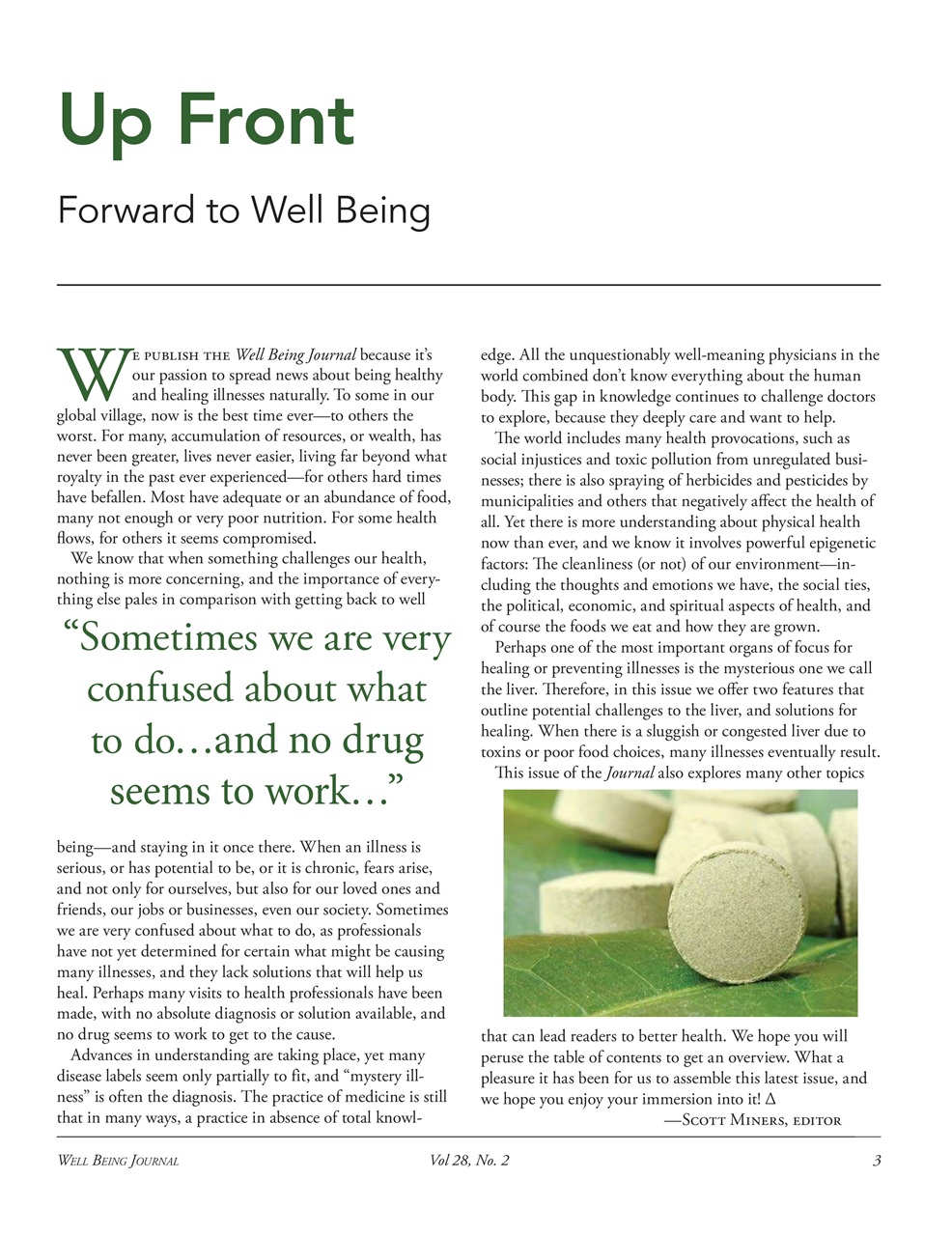 Well Being Journal Preview Pages