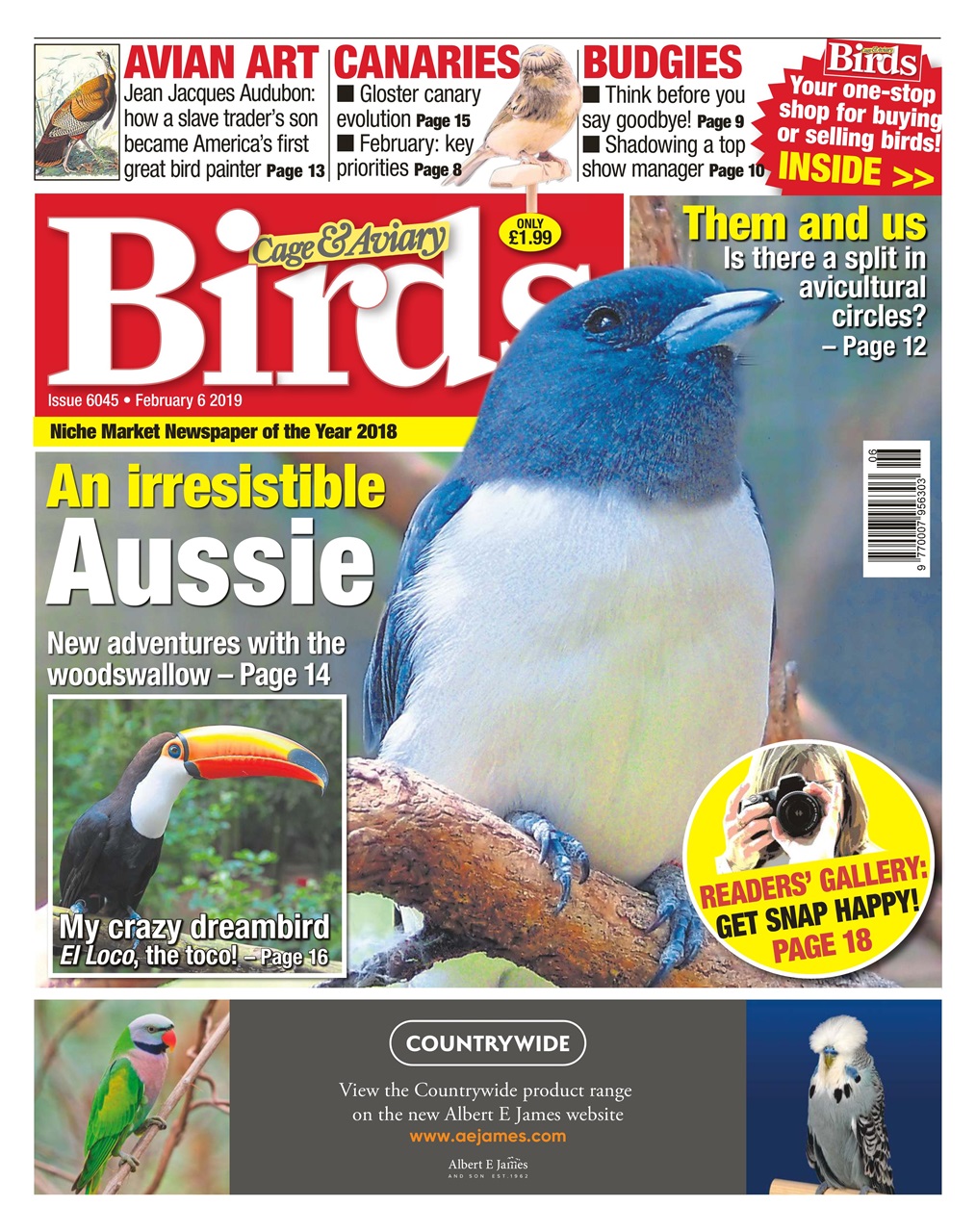 Cage & Aviary Birds Preview Pages