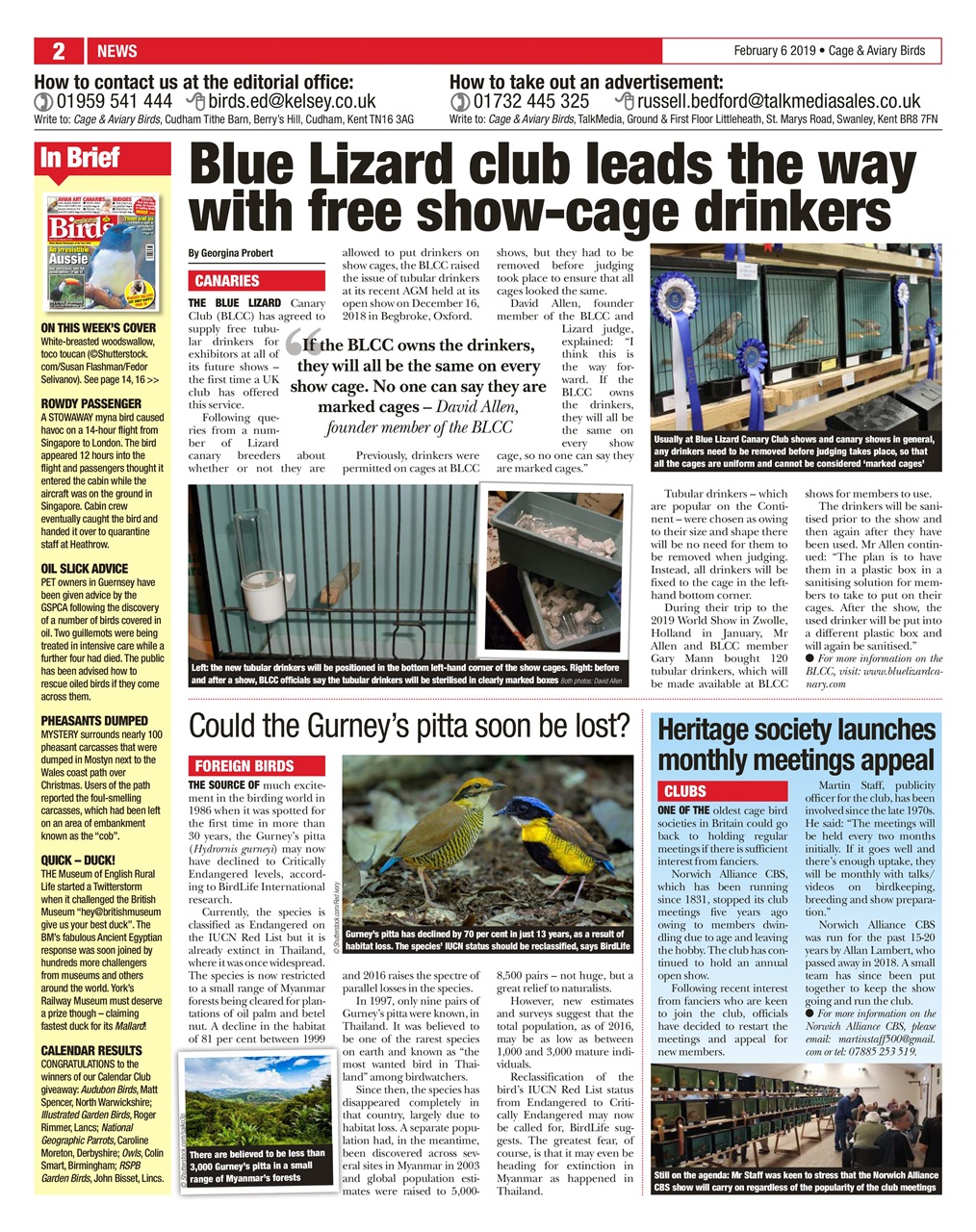 Cage & Aviary Birds Preview Pages