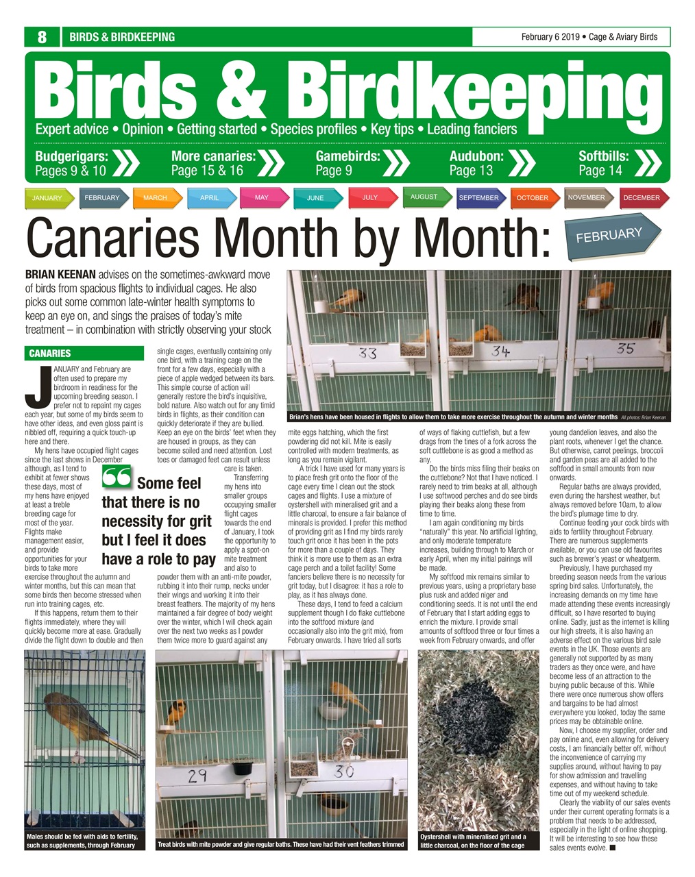 Cage & Aviary Birds Preview Pages