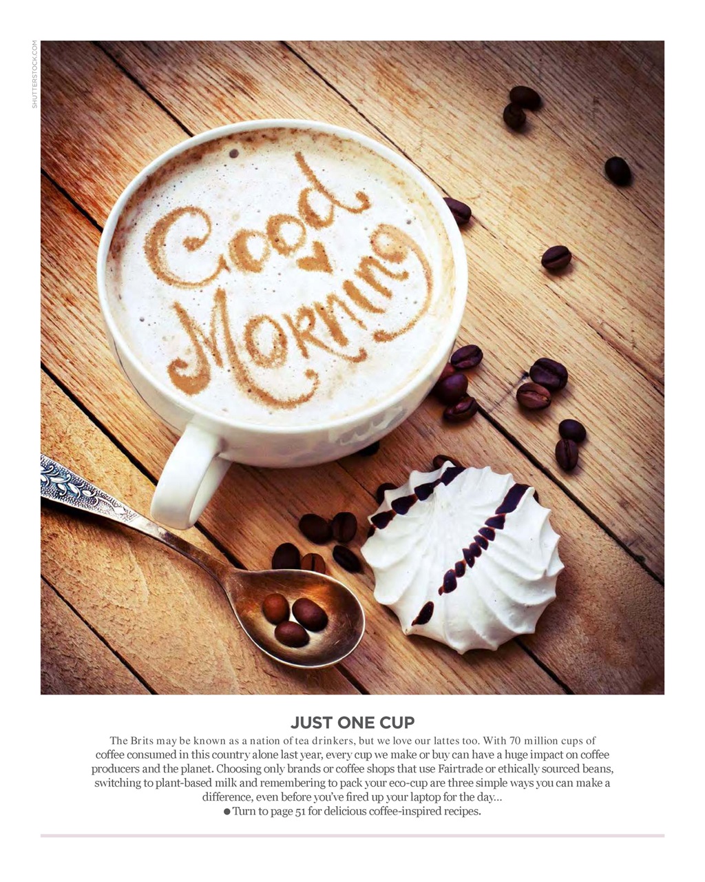 Vegetarian Living Preview Pages