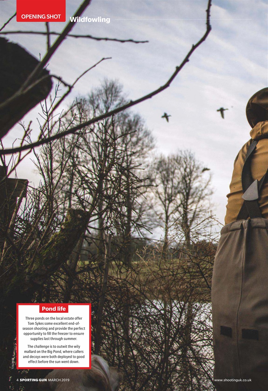 Sporting Gun Preview Pages