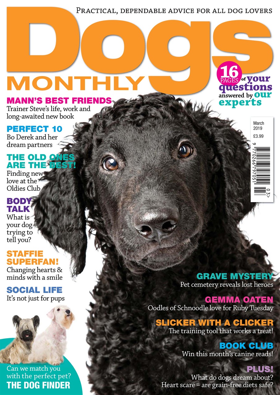 Dogs Monthly Preview Pages