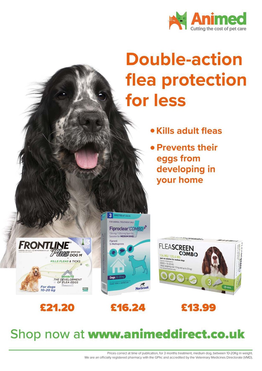 Dogs Monthly Preview Pages