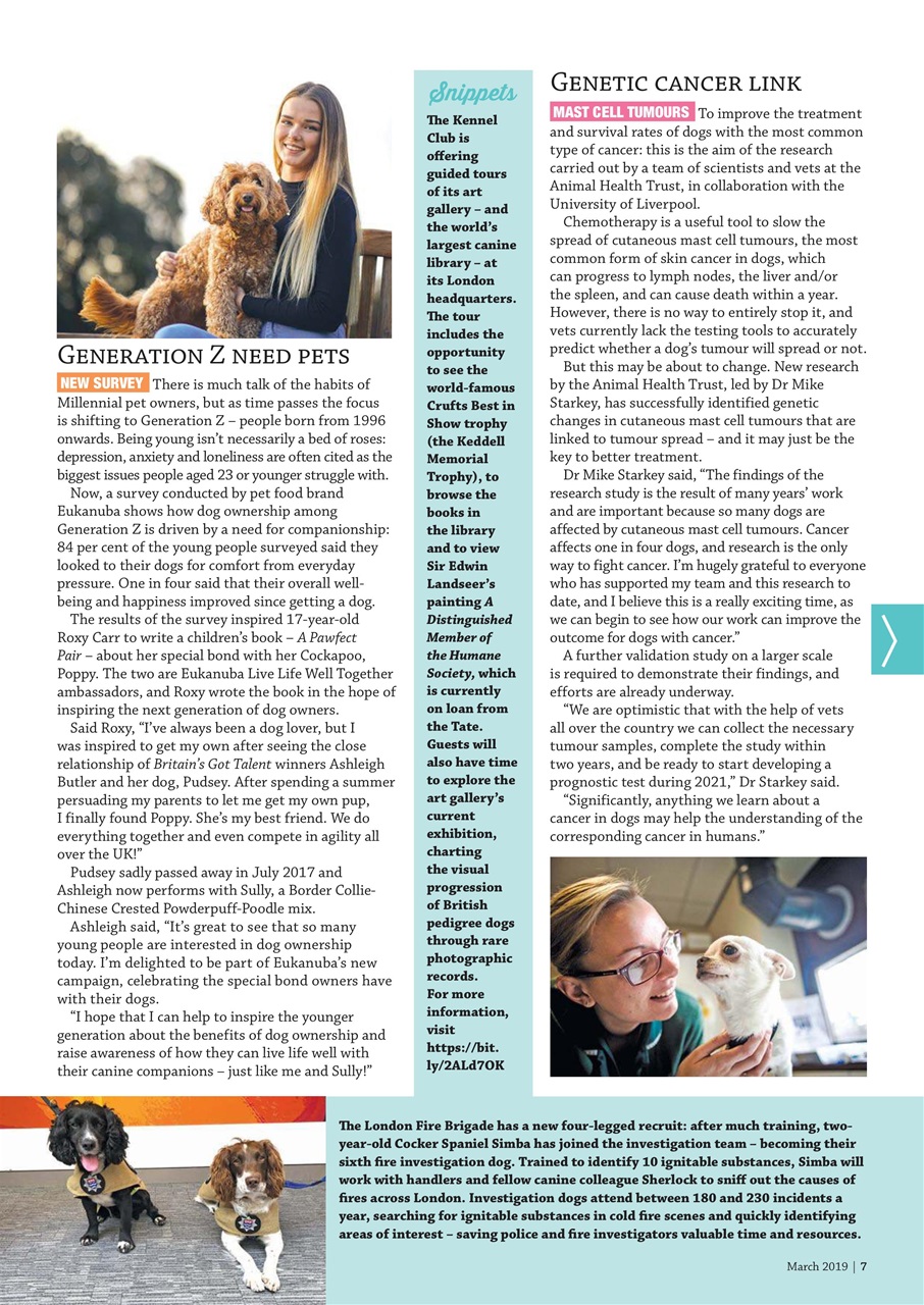 Dogs Monthly Preview Pages