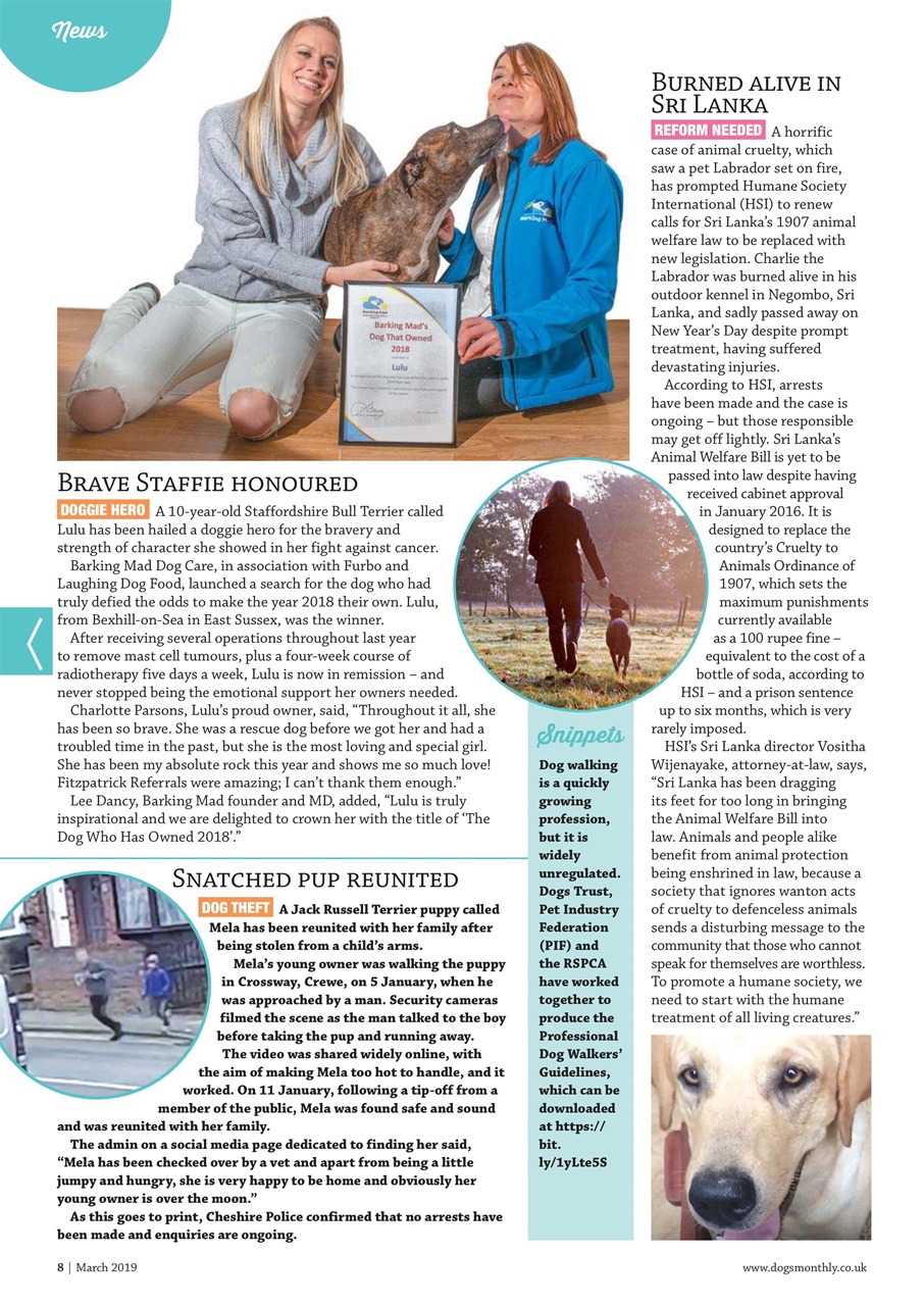Dogs Monthly Preview Pages