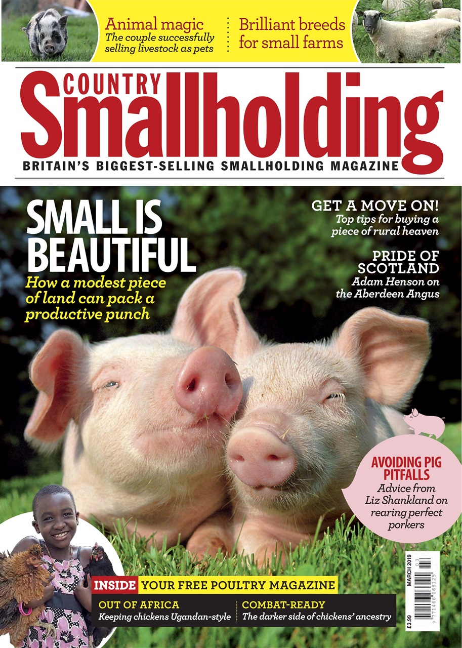 The Country Smallholder Preview Pages