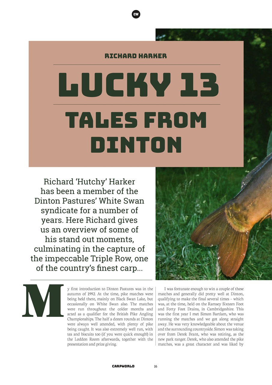 Carpworld Preview Pages