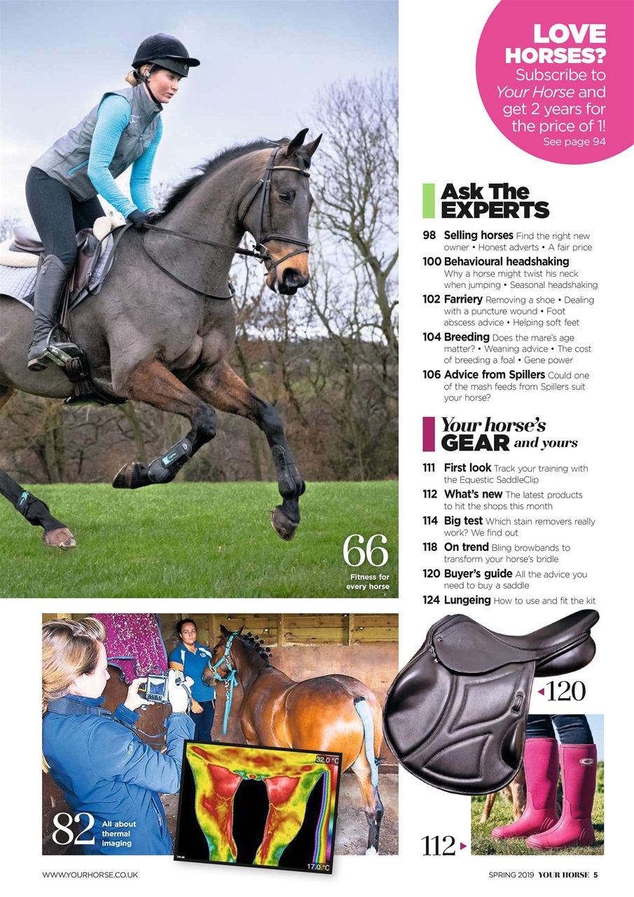 Your Horse Preview Pages