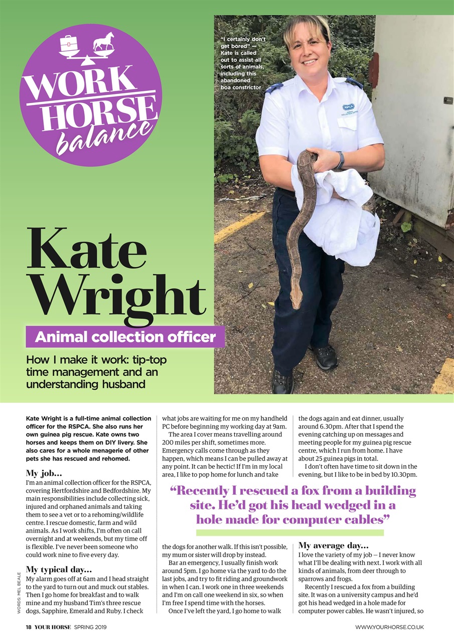 Your Horse Preview Pages