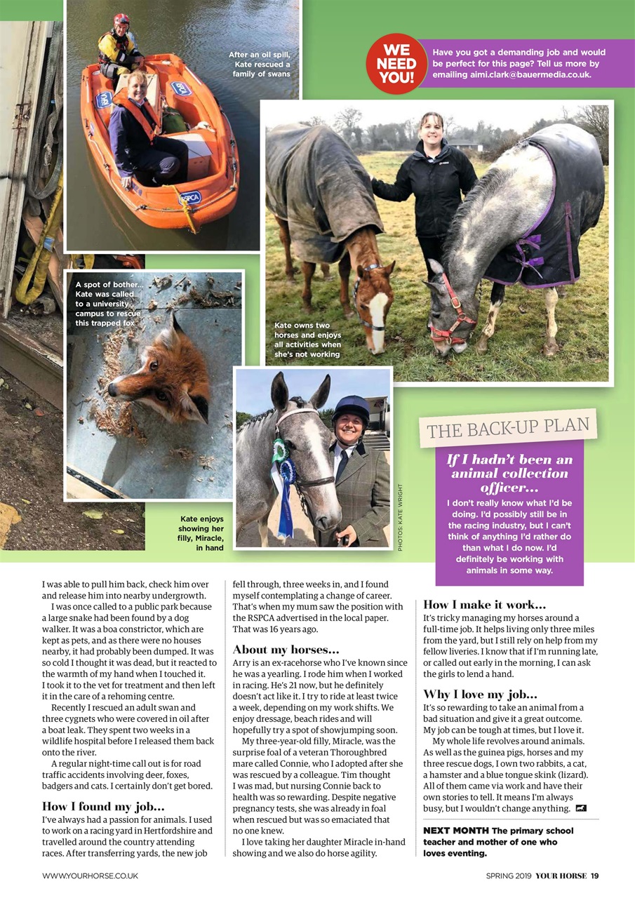 Your Horse Preview Pages