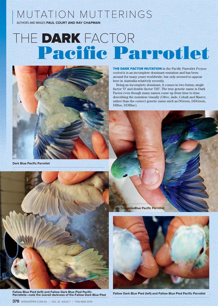 Australian Birdkeeper Magazine Preview Pages