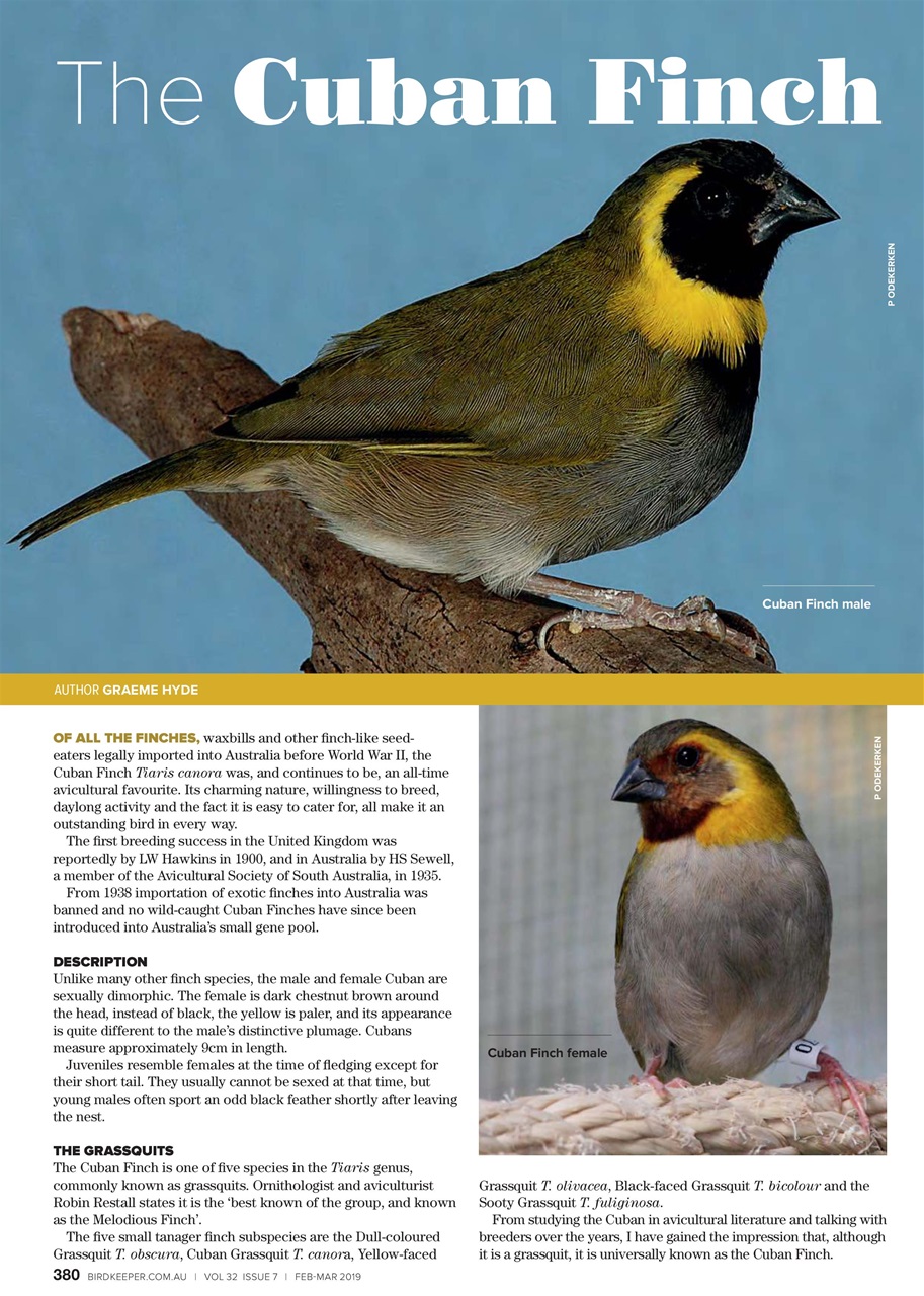 Australian Birdkeeper Magazine Preview Pages