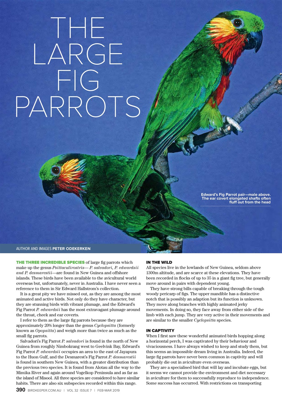 Australian Birdkeeper Magazine Preview Pages