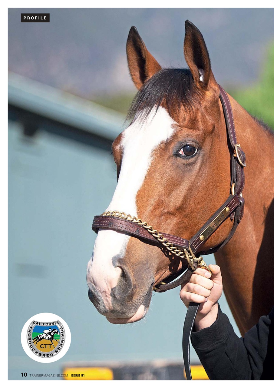 North American Trainer Magazine - horse racing Preview Pages