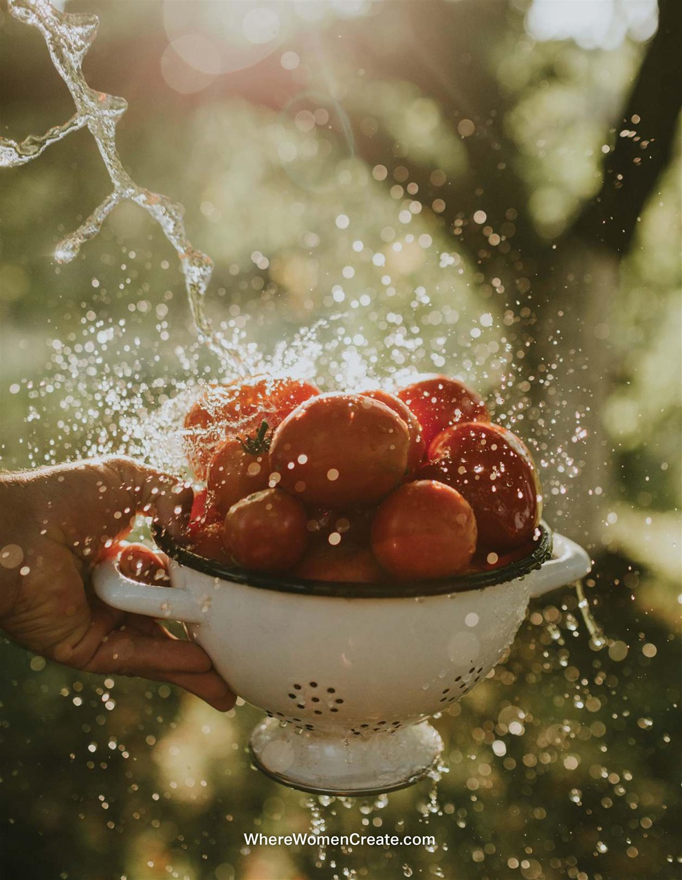 Where Women Cook Preview Pages