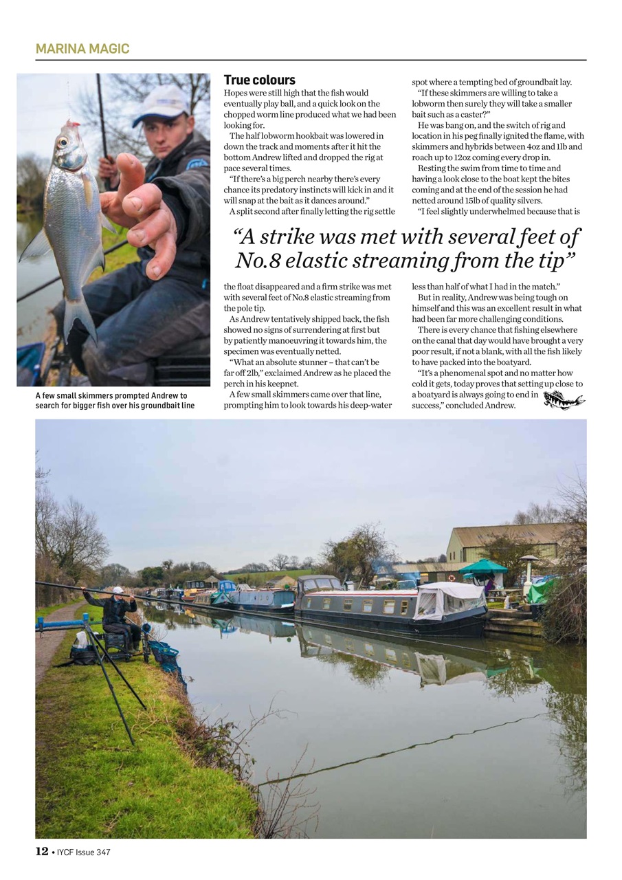 Improve Your Coarse Fishing Preview Pages