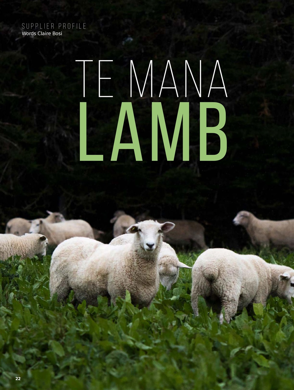 Chef & Restaurant Magazine Preview Pages