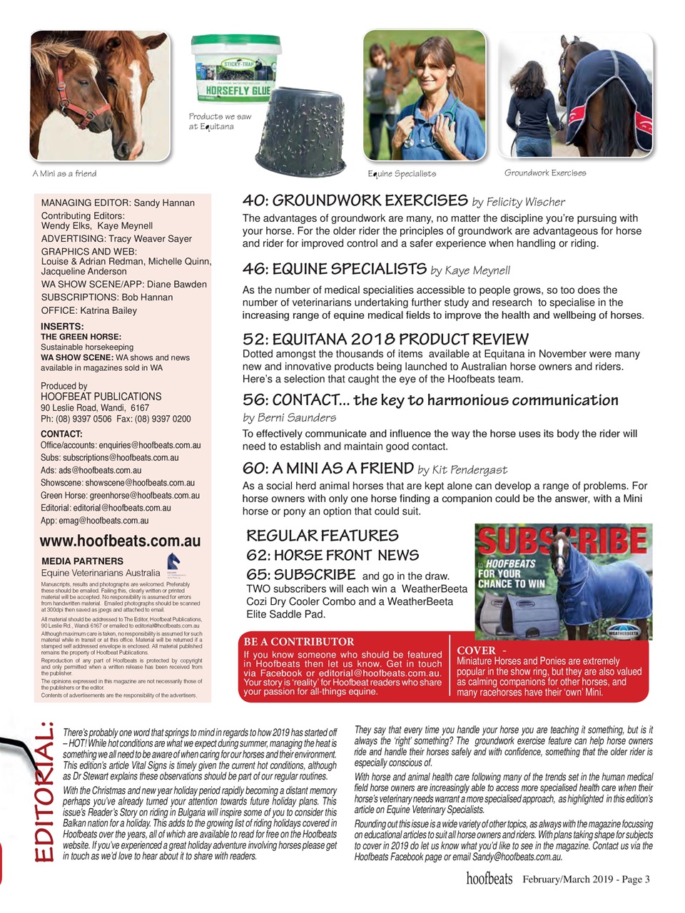 Hoofbeats Preview Pages