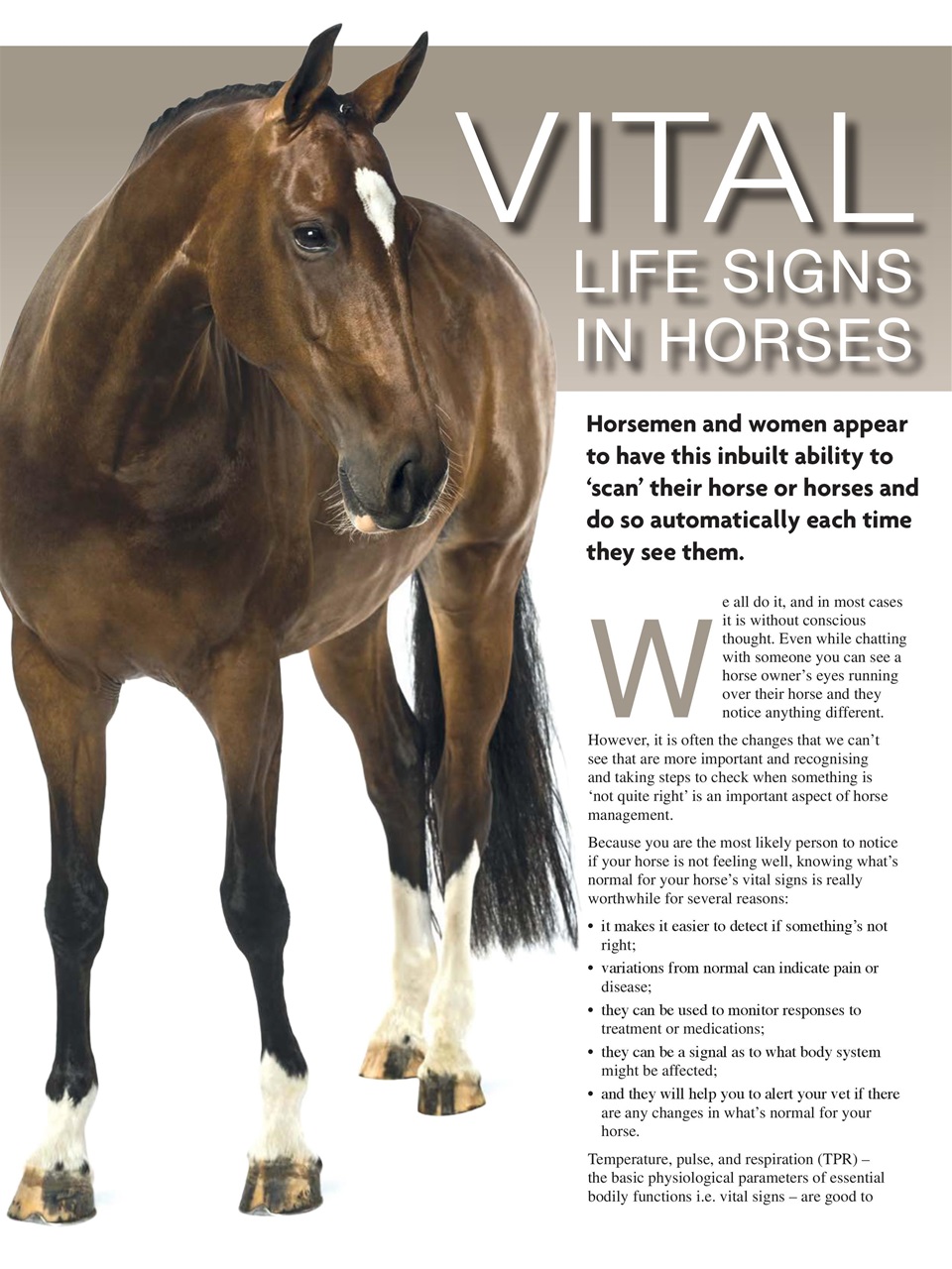 Hoofbeats Preview Pages