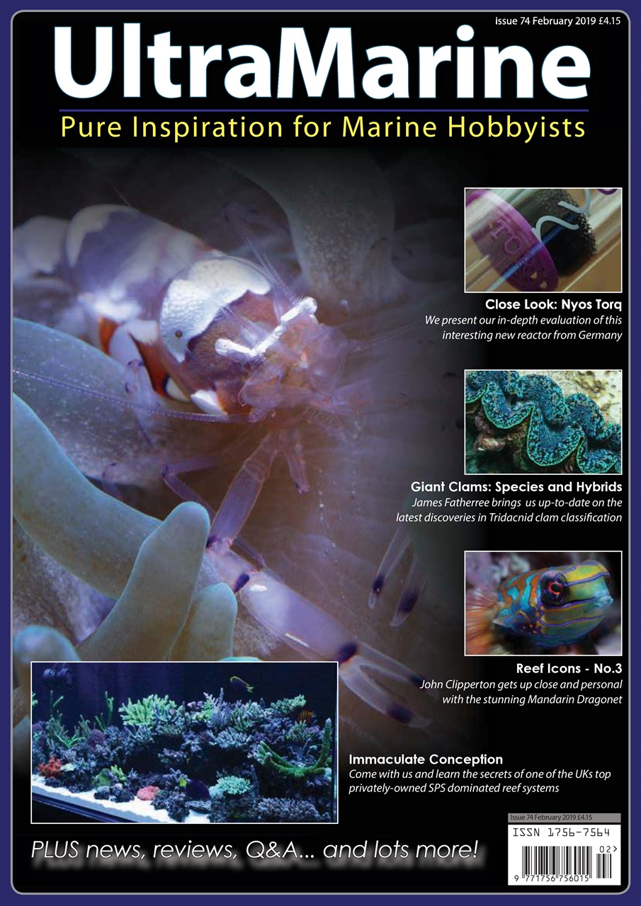 UltraMarine Magazine Preview Pages