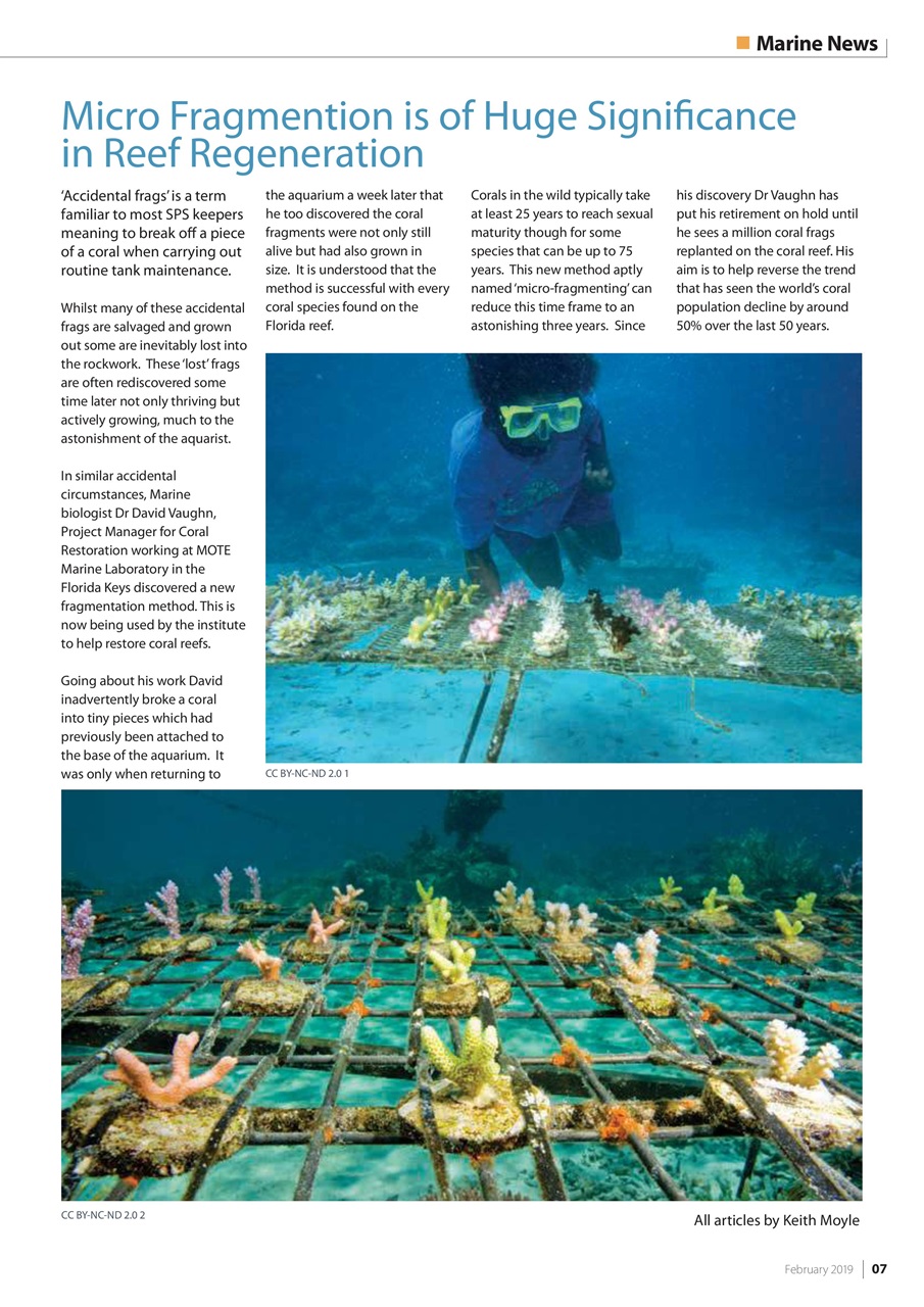 UltraMarine Magazine Preview Pages