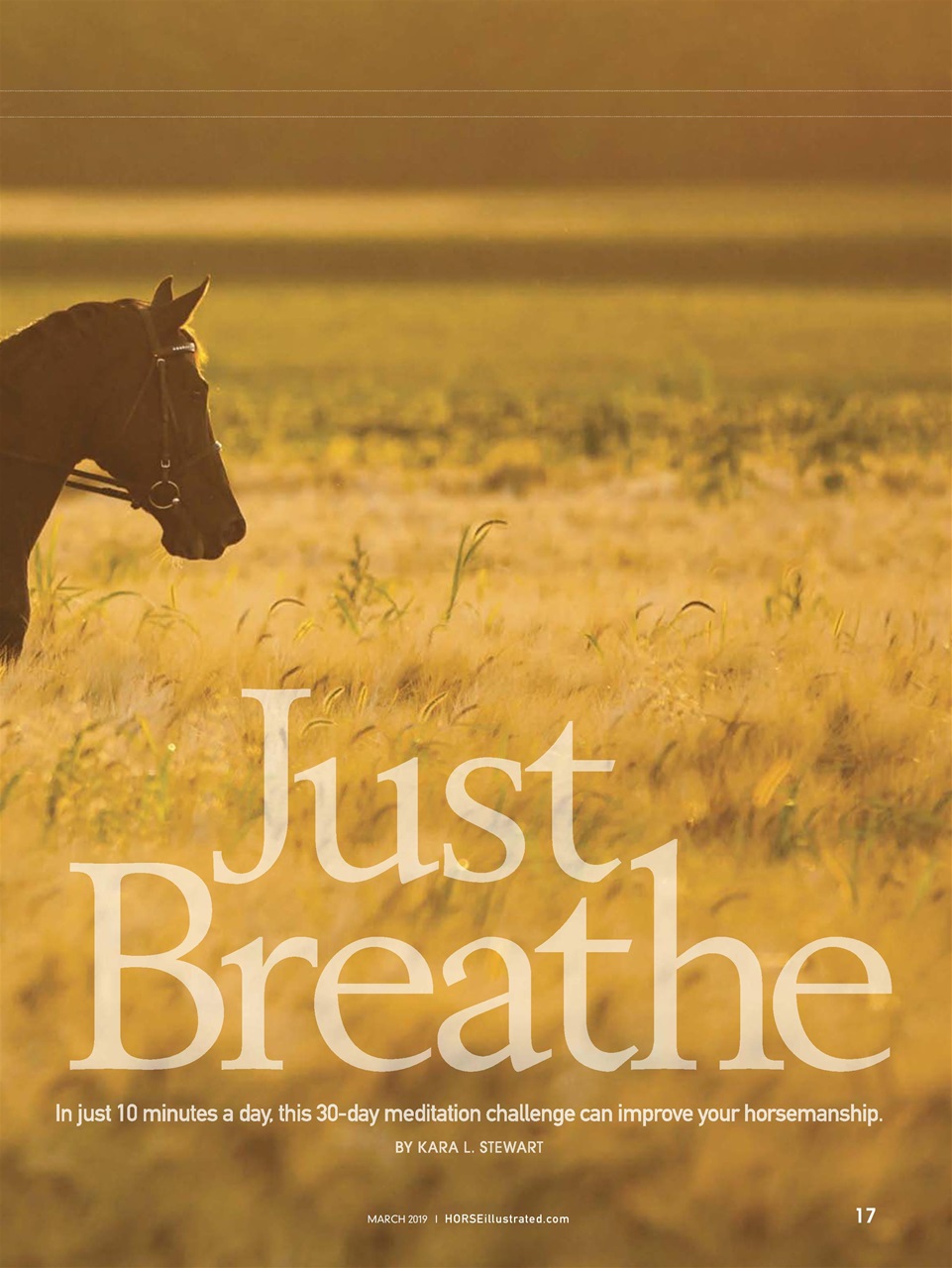 Horse Illustrated Magazine Preview Pages