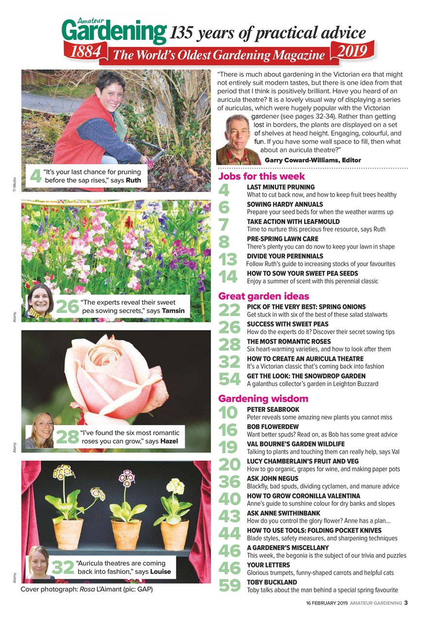 Amateur Gardening Preview Pages