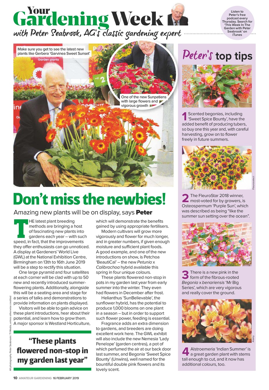 Amateur Gardening Preview Pages