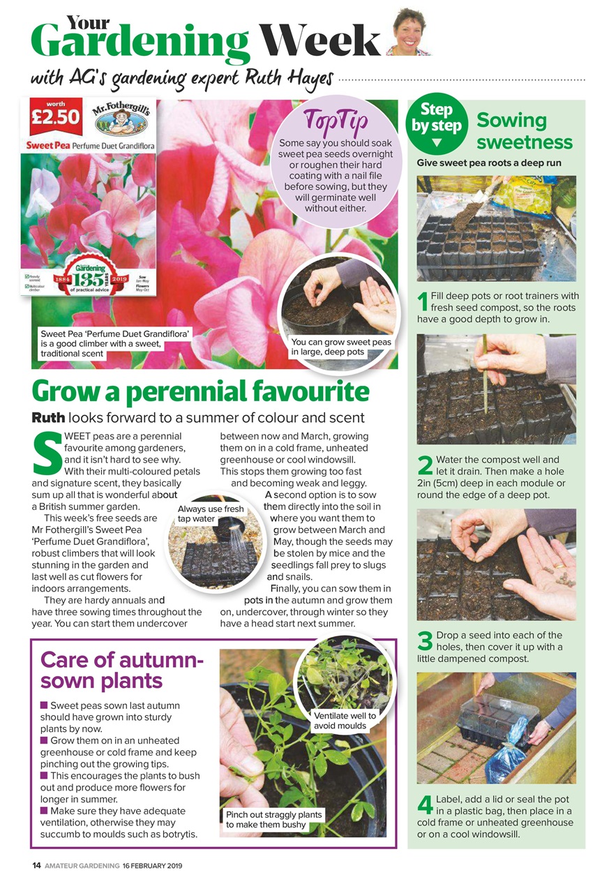 Amateur Gardening Preview Pages