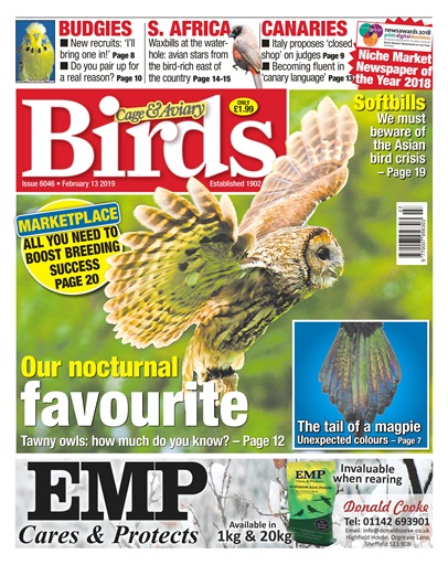 Cage & Aviary Birds issue 