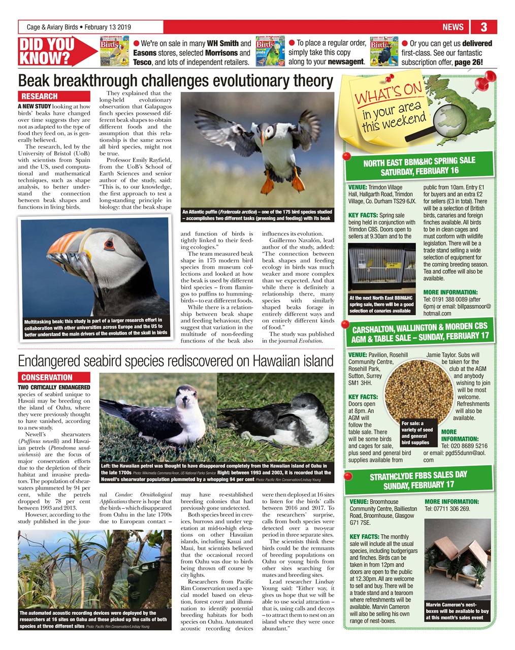 Cage & Aviary Birds Preview Pages