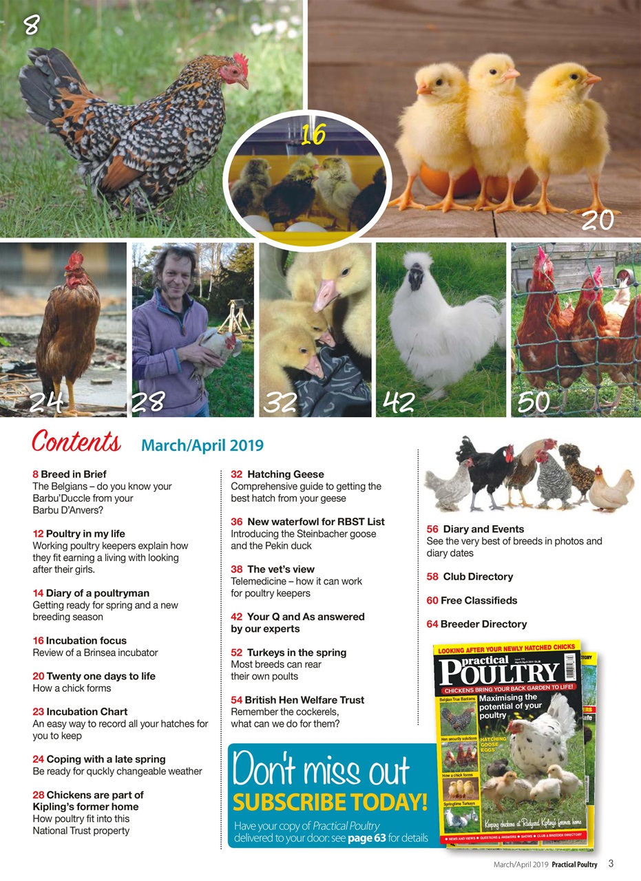 Practical Poultry Preview Pages