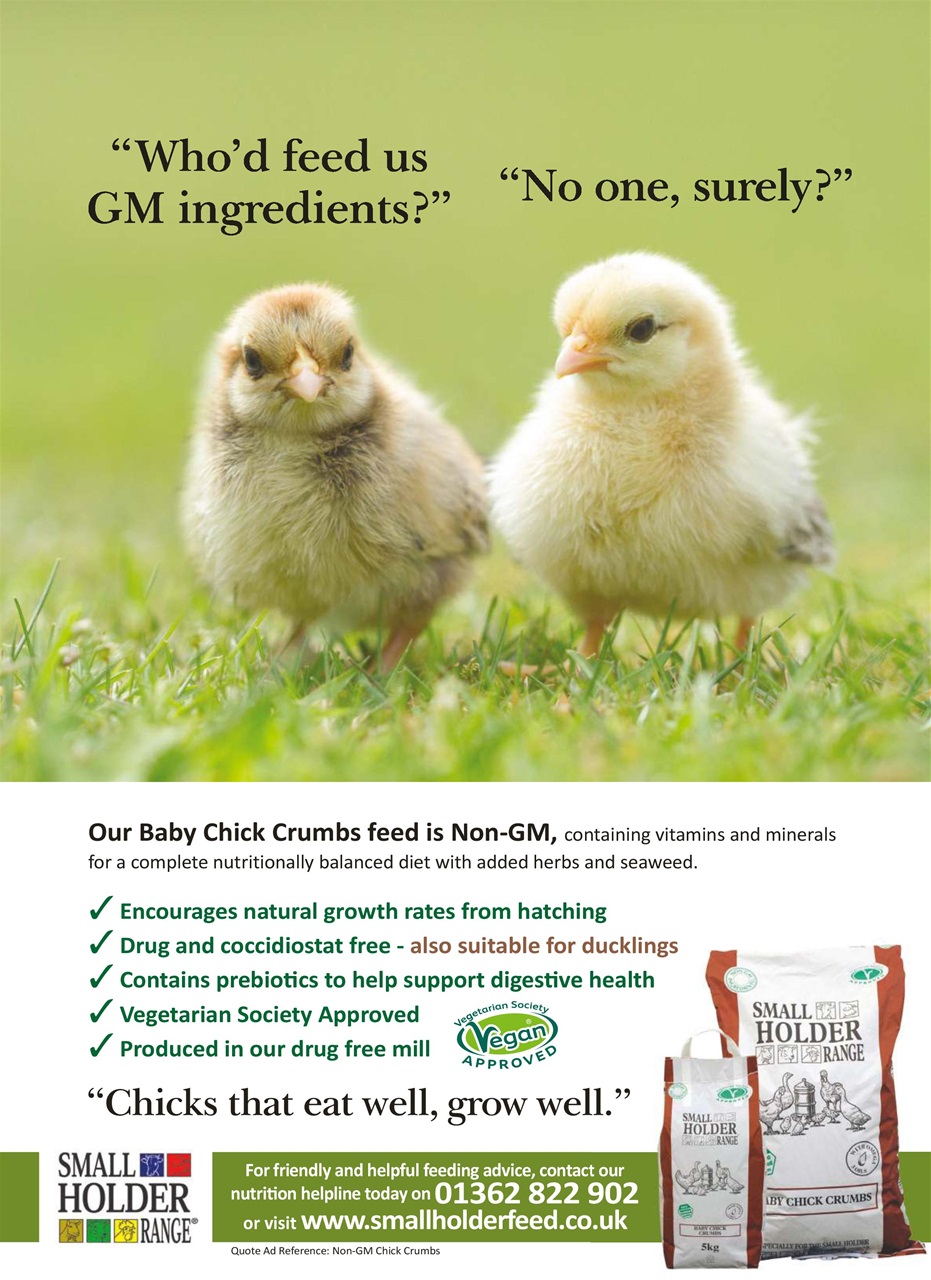 Practical Poultry Preview Pages