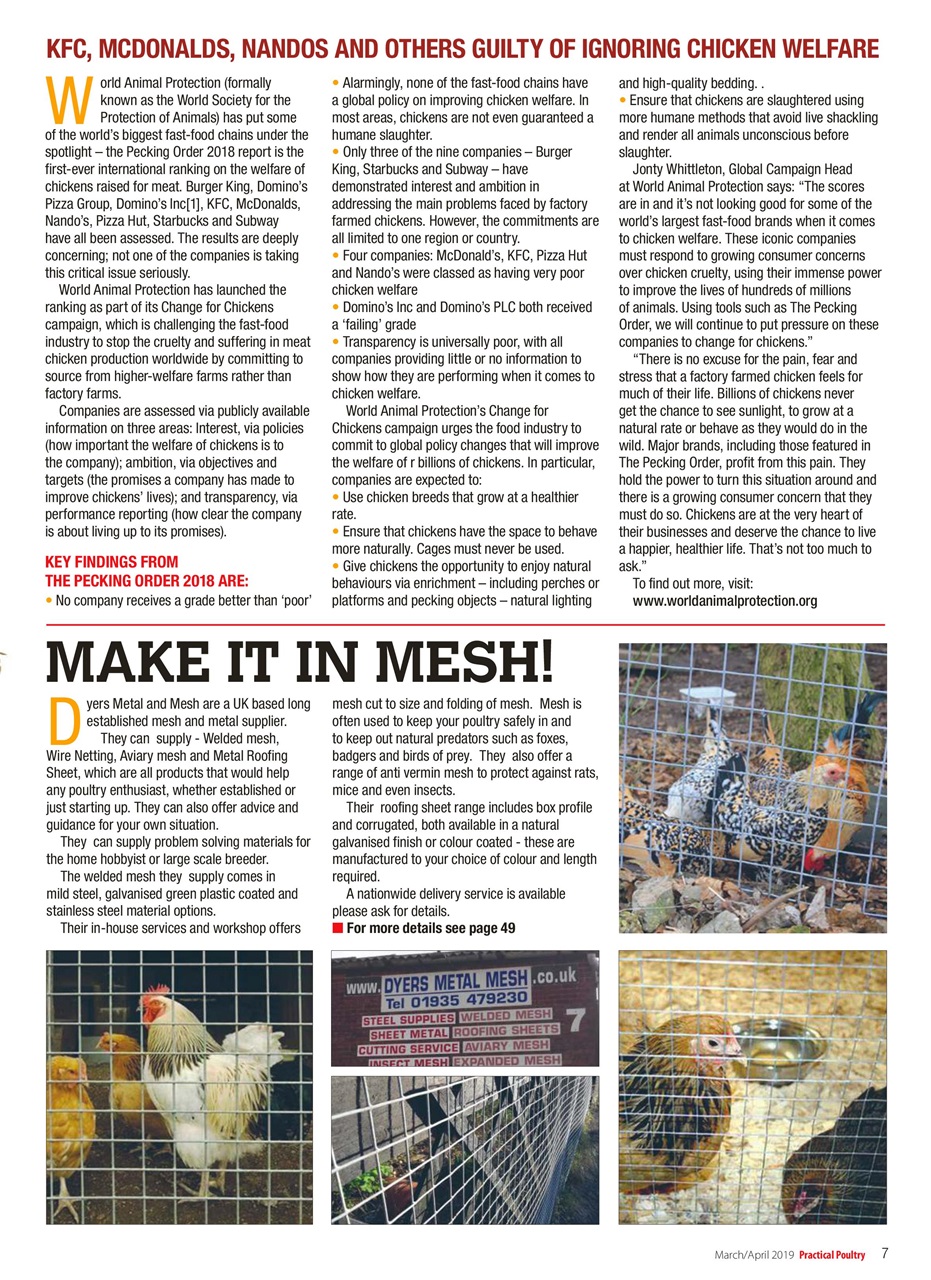 Practical Poultry Preview Pages