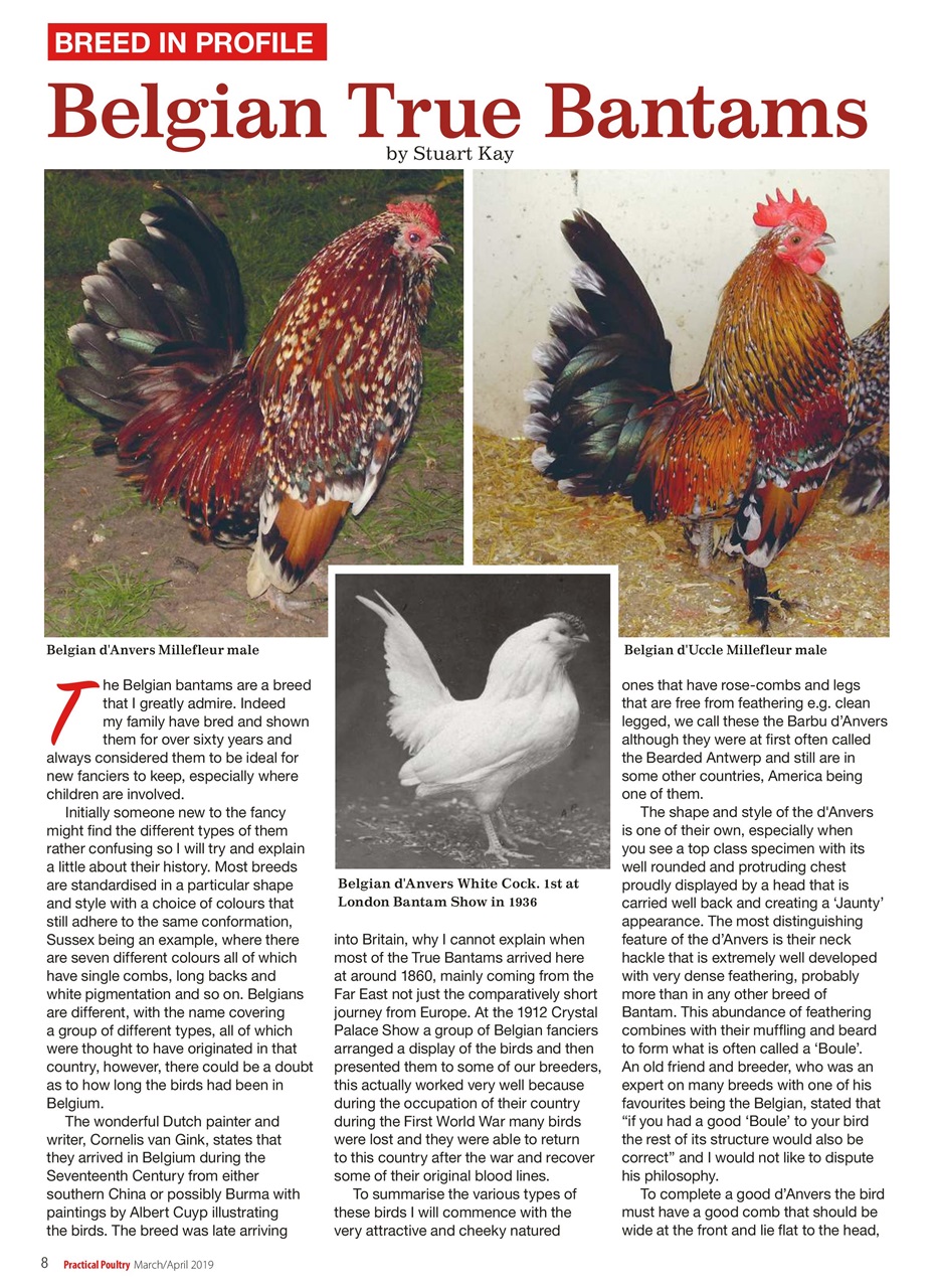 Practical Poultry Preview Pages