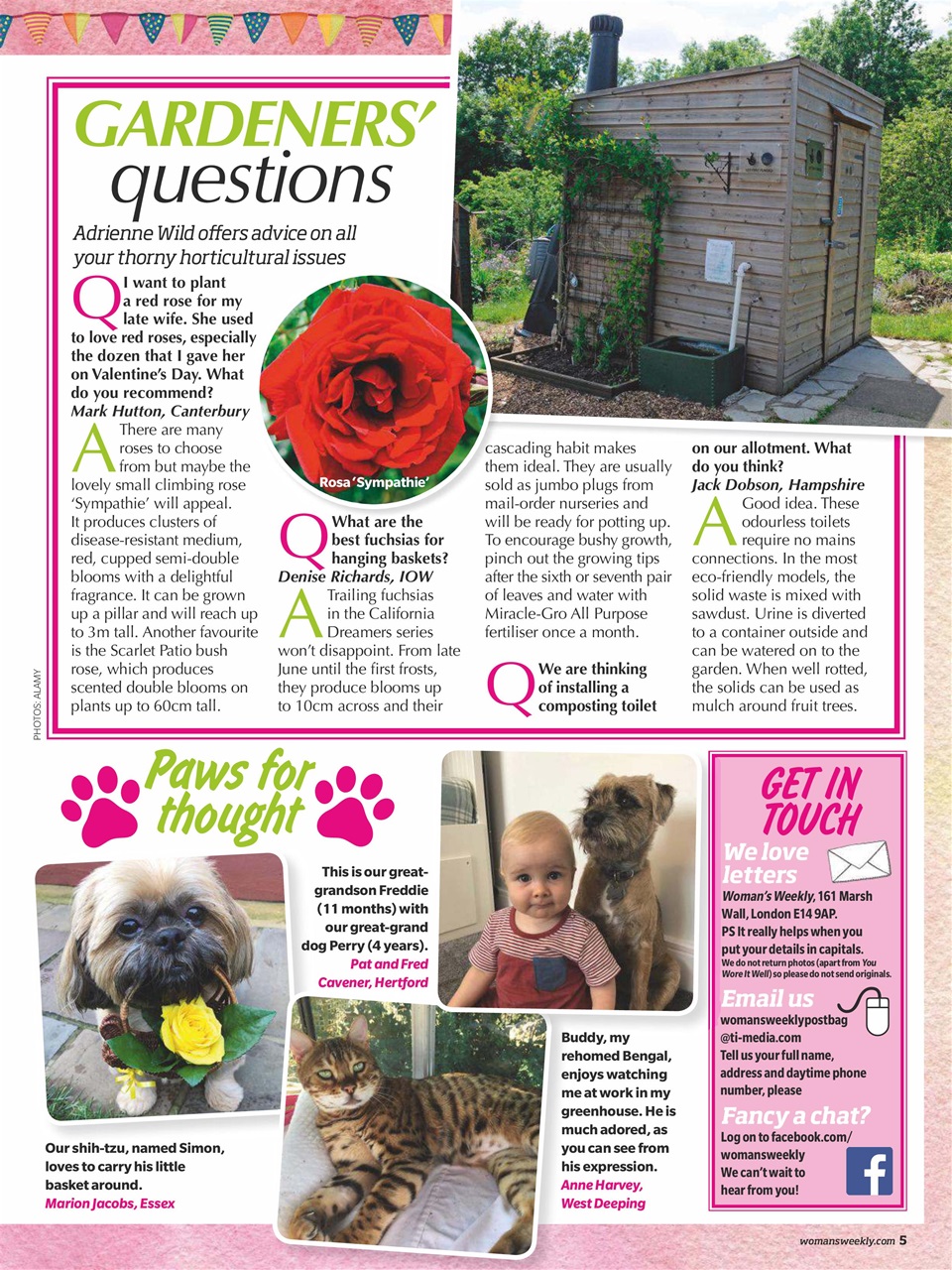 Woman's Weekly Preview Pages