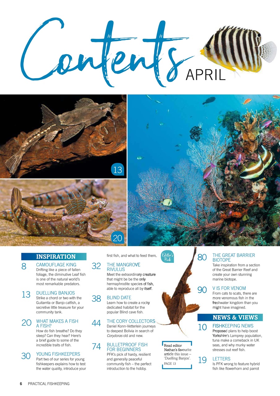 Practical Fishkeeping Preview Pages