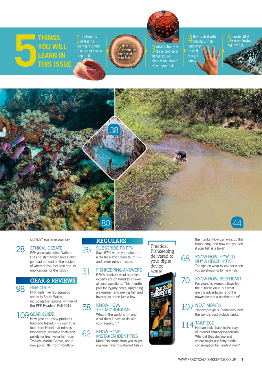 Practical Fishkeeping Preview Pages