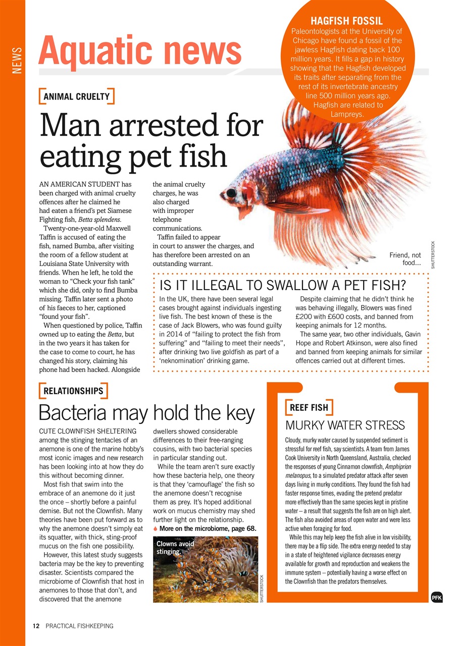 Practical Fishkeeping Preview Pages