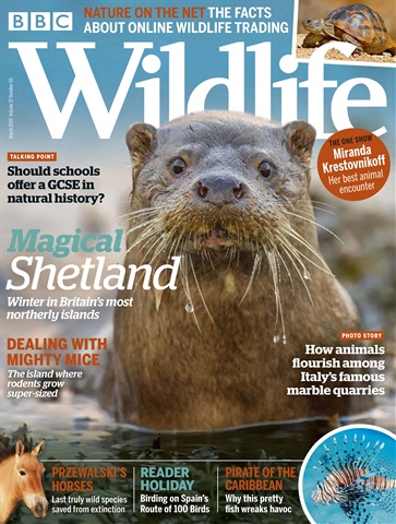 BBC Wildlife Magazine issue March 2019