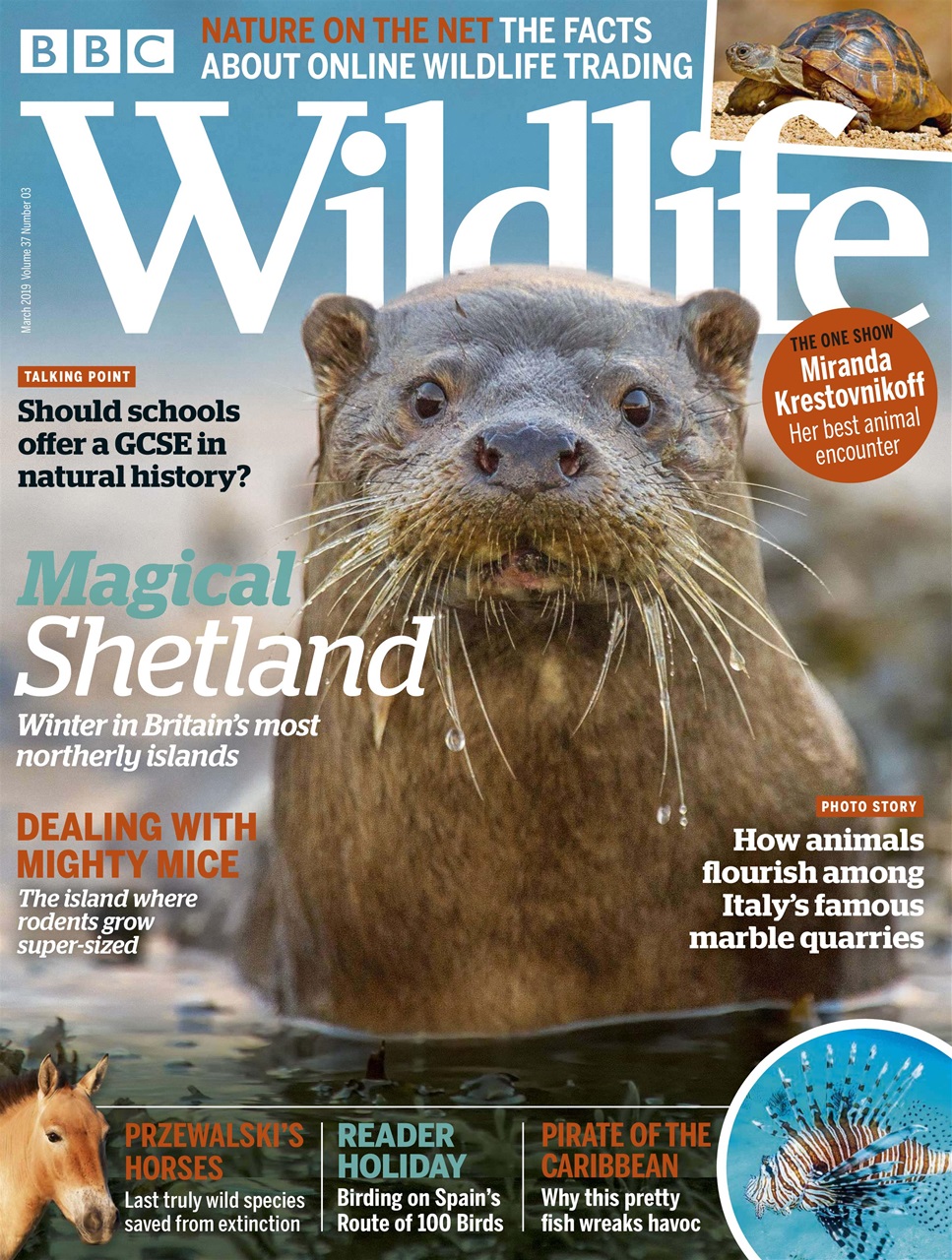 BBC Wildlife Magazine Preview Pages