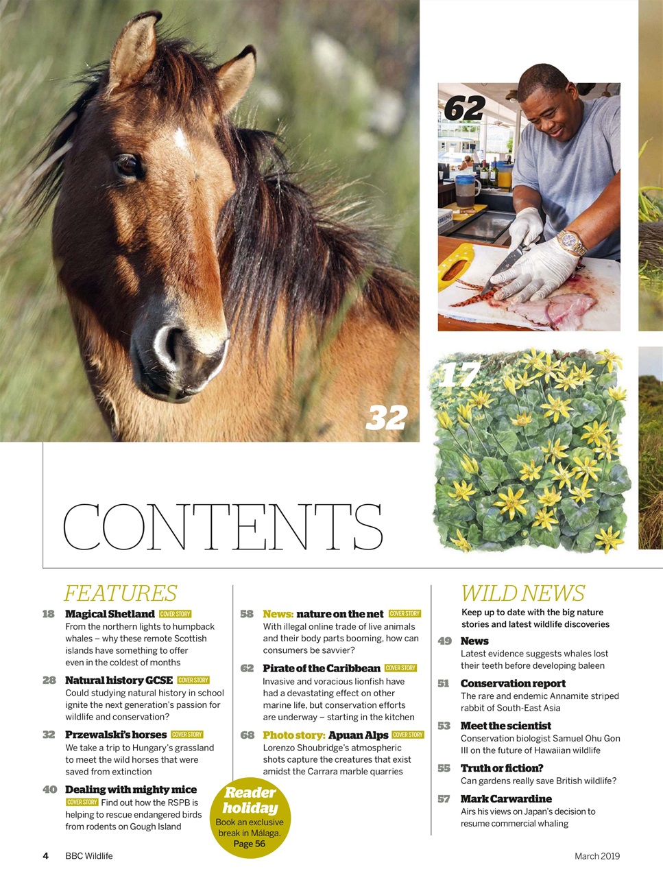 BBC Wildlife Magazine Preview Pages
