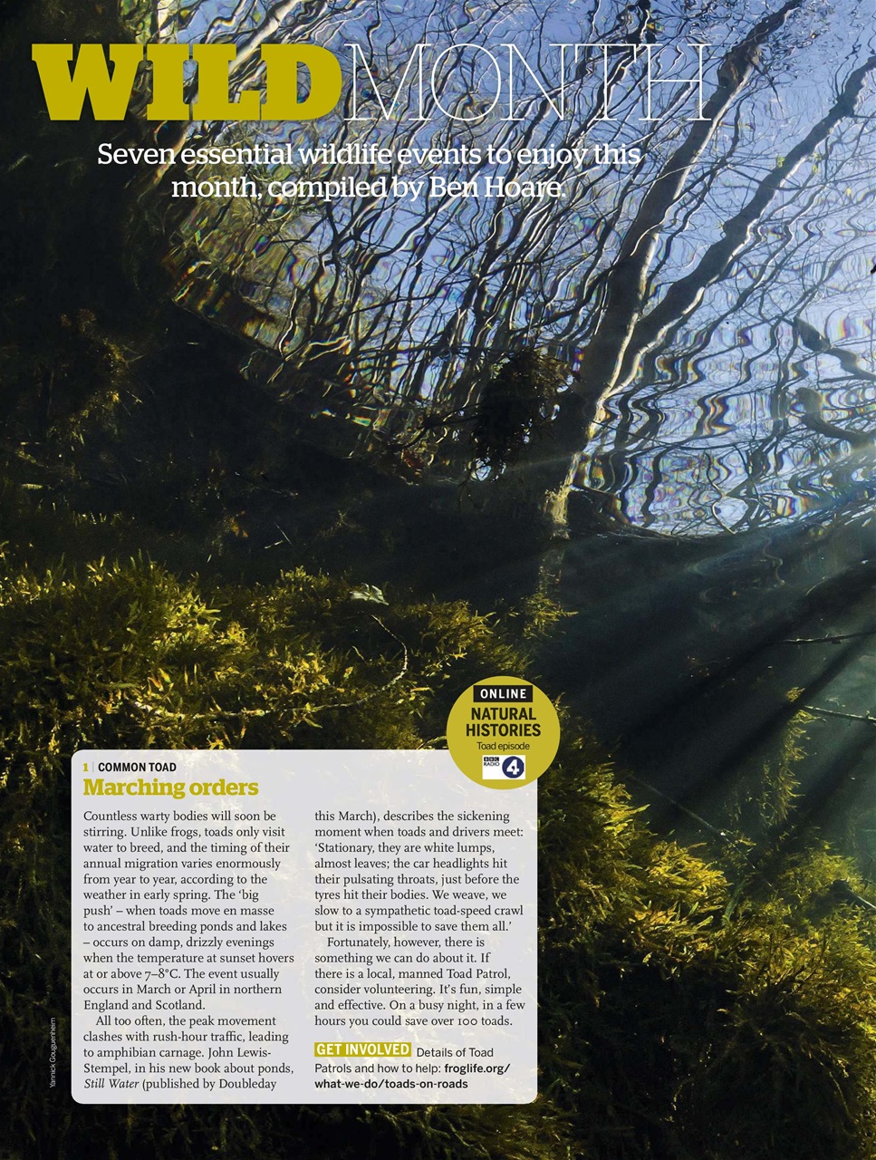 BBC Wildlife Magazine Preview Pages
